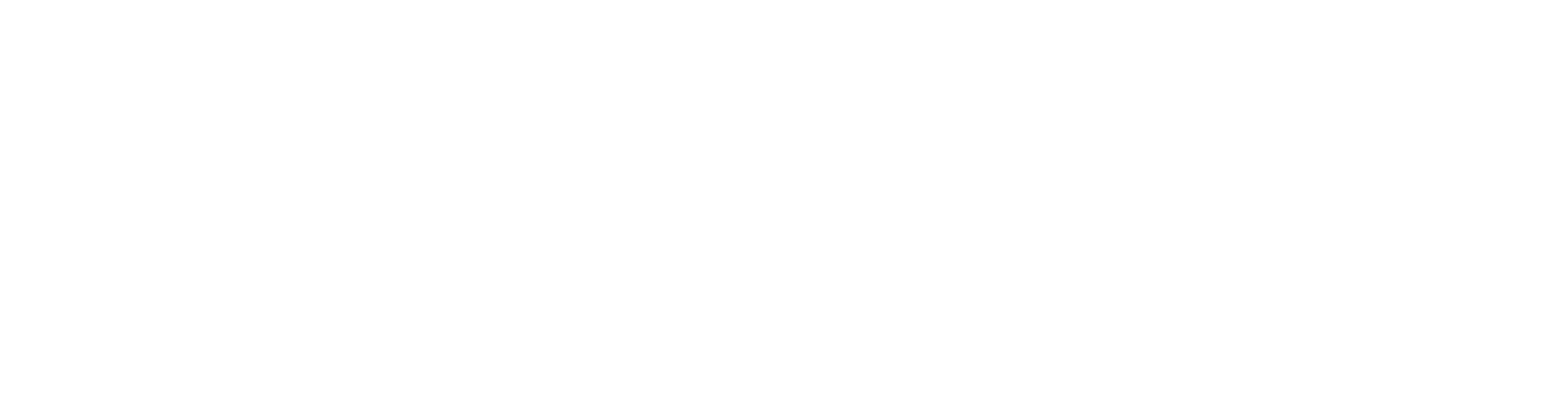 Chimi logo